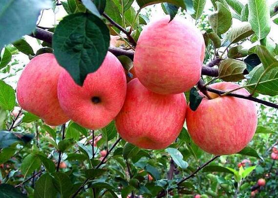 ����ʩ�ʲ����_�@Щ���ӡ�����ʩ����Ҳ��׃�ɡ��U�~���F��
