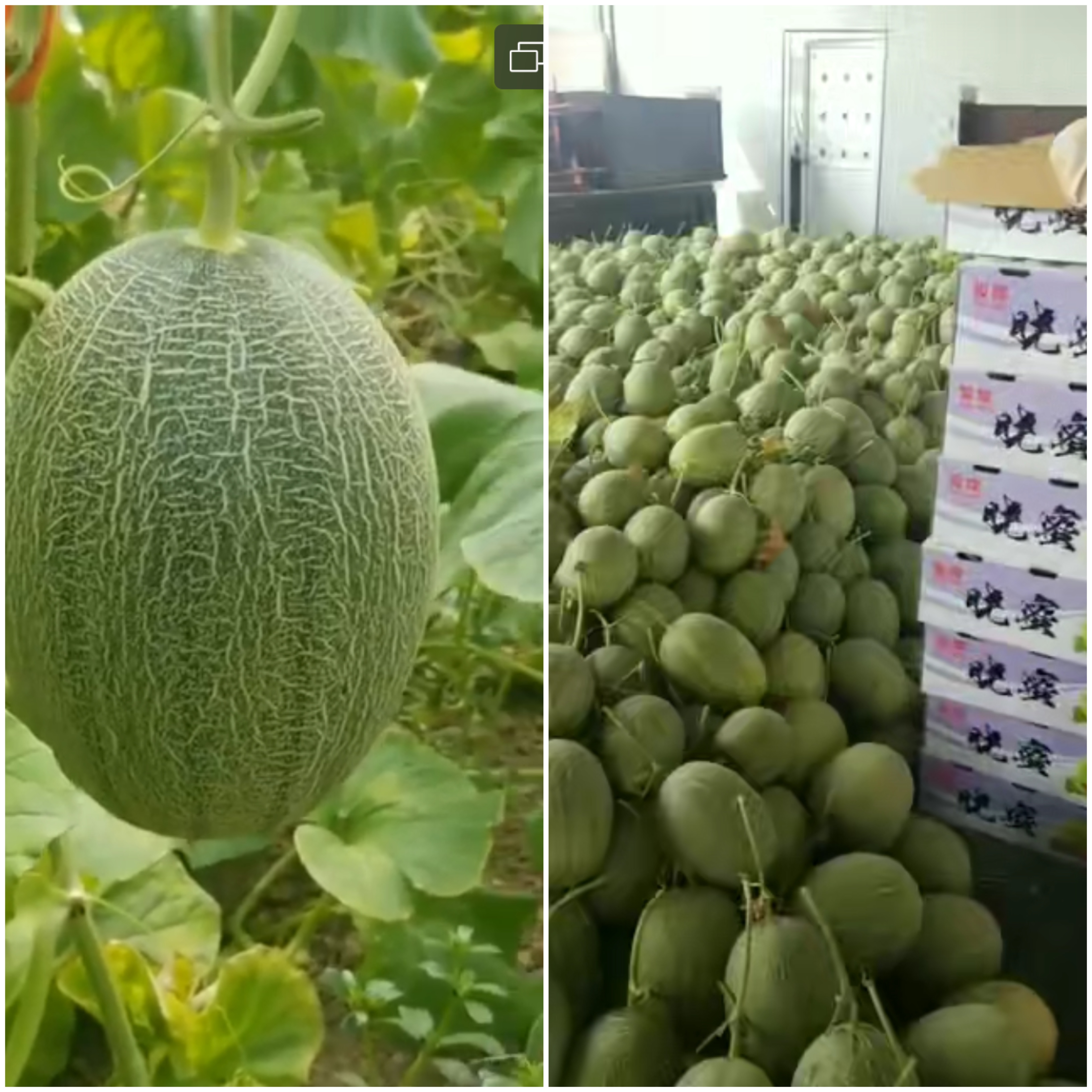 ��ϲ·�ǹ��ܹ�ϲ�@�S�գ�