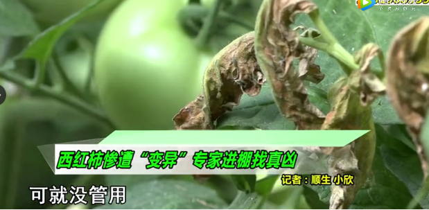 ���t���������u�S�������������r(n��ng)�I(y��)�r(n��ng)�岿���S����ЙC������Ҫ��