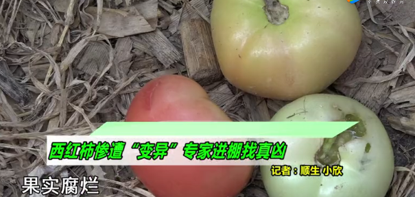���t���������u�S�������������r(n��ng)�I(y��)�r(n��ng)�岿���S����ЙC������Ҫ��