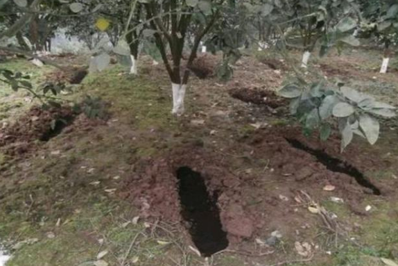 ���@�ЙC(j��)����ʩ��߀�ǜ�ʩ����